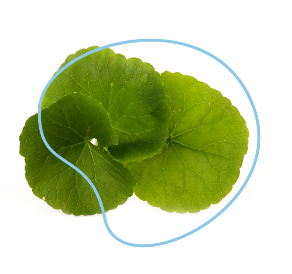 O piele elastică